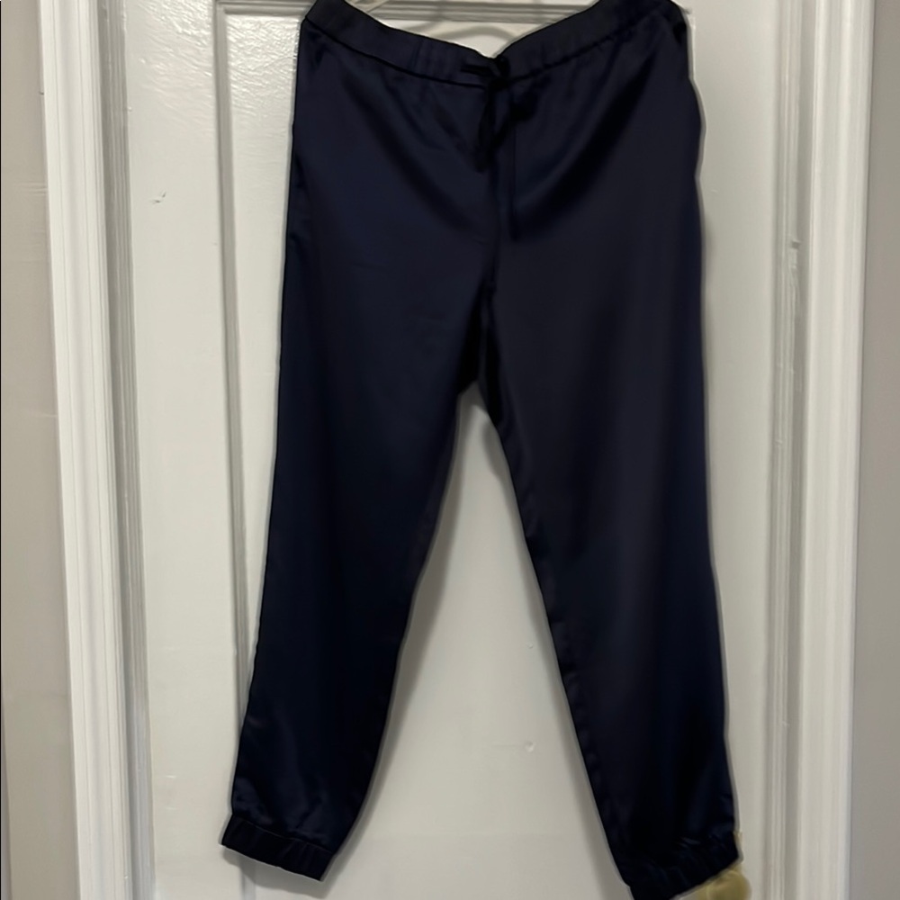 Banana Republic Midnight Navy Joggers